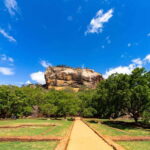 Sri Lanka: Sigiriya, Dambulla, and Minneriya Private Tour - Who This Tour Is Best For