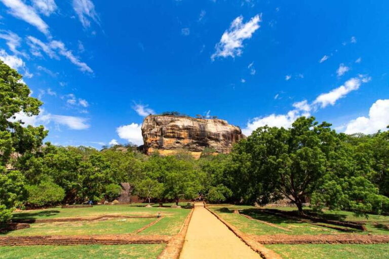 Sri Lanka: Sigiriya, Dambulla, and Minneriya Private Tour - Who This Tour Is Best For