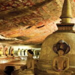 Sri Lanka: Sigiriya, Dambulla Highlights Day Tour And Safari - Who This Tour Is Best For