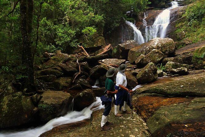 Sri Lanka Sinharaja Rain Forest Tour with Transport - An In-Depth Look at the Sinharaja Rain Forest Tour