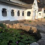 Sri Lanka Tour in 8 Days - What the Reviews Say