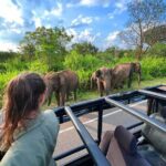 Sri Lanka Travel in 08 Nights 09 Days - Why This Tour Represents Good Value