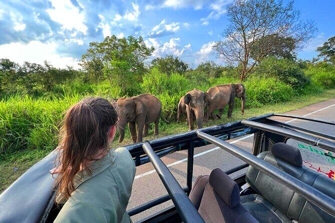 Sri Lanka Travel in 08 Nights 09 Days - Why This Tour Represents Good Value