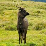 Sri Lanka Unveiled: 12 Nights Complete Experience Package - Final Thoughts