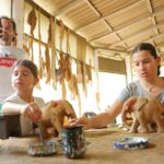 Sri Lankan Crafts and Spices Tour from Kandy - Exploring the Sri Lankan Crafts and Spices Tour in Depth