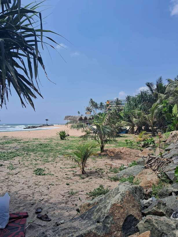 SriLanka Private Tour: 6Days 5Nights Adventure, Culture&more - Exploring Sri Lanka in 6 Days: What You Can Expect