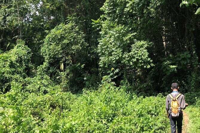 Srimangal nature tour in forest and tea garden - Final Thoughts