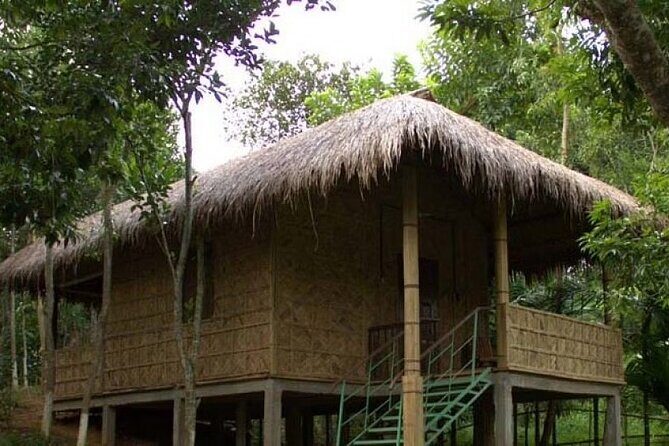 Srimangal Overnight Private Tour from Dhaka - Day 1: Wildlife and Forests at Lawachara National Park