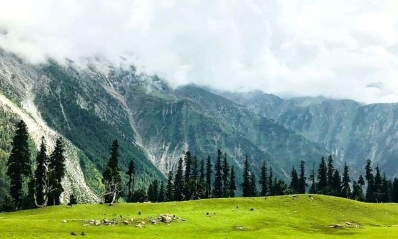 Srinagar: Doodhpathri Day Trip with Transfers - Exploring the Meadows and Waterfall