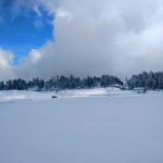 Srinagar: Gulmarg Day Tour - Explore the Meadow of Flowers - Discovering Gulmarg: A Natural and Cultural Wonderland