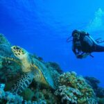 SSI | Padi Open Water Course in Phuket - Exploring the Phuket PADI Open Water Course in Depth