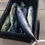 St. Augustine Fishing Charter Experience - Who Is This Tour Best For?