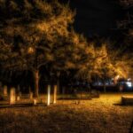 St. Augustine Haunted Pub Crawl - Why This Tour Works for You