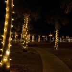 St. Augustine Nights of Lights Celebration from Orlando - Possible Drawbacks