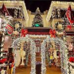 St Augustine Nights of Lights Tour on Premium Electric Cart - A Closer Look at the Value