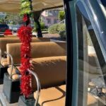 St Augustine Shared Golf Cart Tour - Authenticity and Value