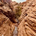 St. George: Jeep Exploration Slot Canyon & Rock Formations - A Closer Look at the Experience