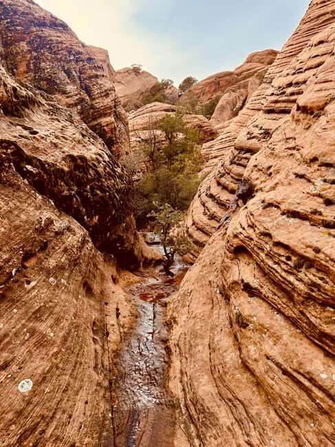 St. George: Jeep Exploration Slot Canyon & Rock Formations - A Closer Look at the Experience