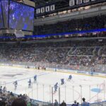 St. Louis Blues Ice Hockey Game Ticket at Enterprise Center - Who Will Love This Experience?