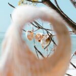 St. Pete Dolphin Watching and Shelling Adventure - Who Should Consider This Tour