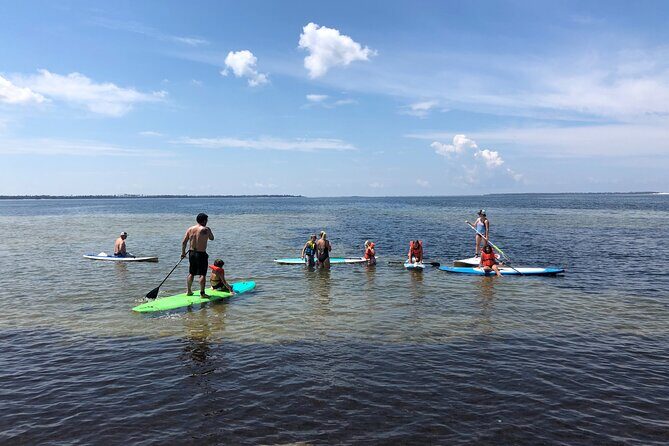 Stand Up Paddle Board Lesson in Panama City Florida - Who Will Benefit Most?