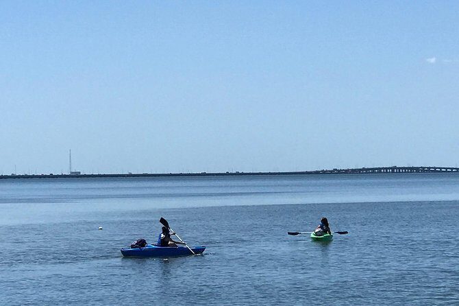 Stand Up Paddle Board Rental - Why This Paddleboard Rental is a Great Choice for Tampa Visitors