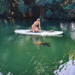 Stand Up Paddle Nature and Turtle tour-Guaranteed to see turtles - Final Thoughts