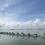 Stand Up Paddle Yoga Class at Private Lagoon - The Experience in Detail