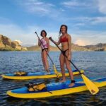 Stand Up Paddleboard Full-Day Rental - Transporting is required - An In-Depth Look at the Phoenix SUP Rental Experience