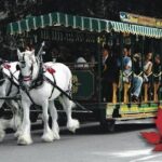 Stanley Park Horse-Drawn Tour - Who Should Consider This Tour?