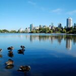 Stanley Park Self Guided Walking Tour - What Travelers Say