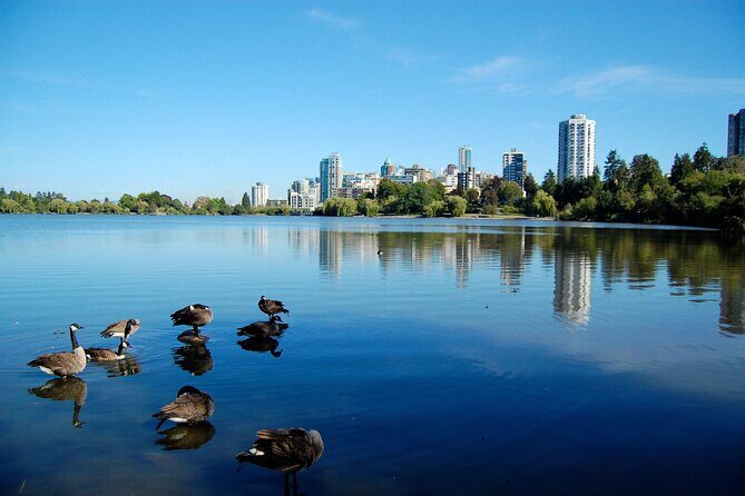 Stanley Park Self Guided Walking Tour - What Travelers Say