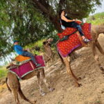 Stay Under The Billions Stars Overnight Camel Safari Tour - Who Will Love This Tour?