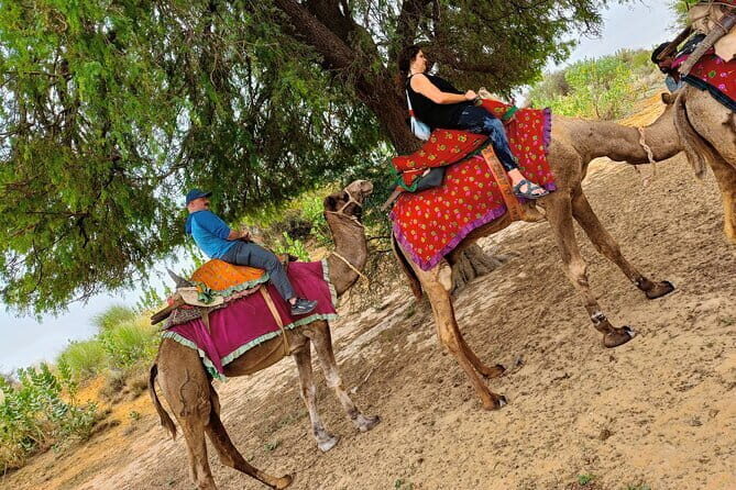 Stay Under The Billions Stars Overnight Camel Safari Tour - Who Will Love This Tour?