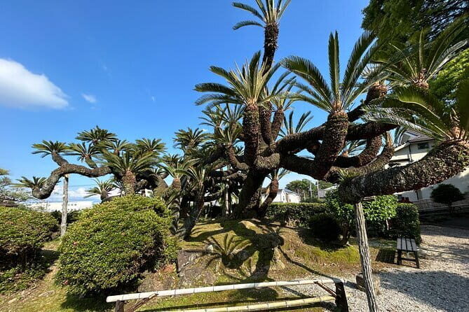 Step-Free Easy going tour from Shimizu Port / Van Taxi - FAQs