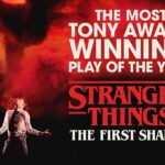Stranger Things: The First Shadow on Broadway Ticket - The Sum Up