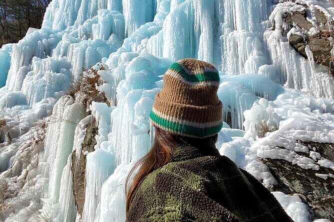 Strawberry & Eobi Valley & Nami Island & Garden of Morning Calm - Frequently Asked Questions