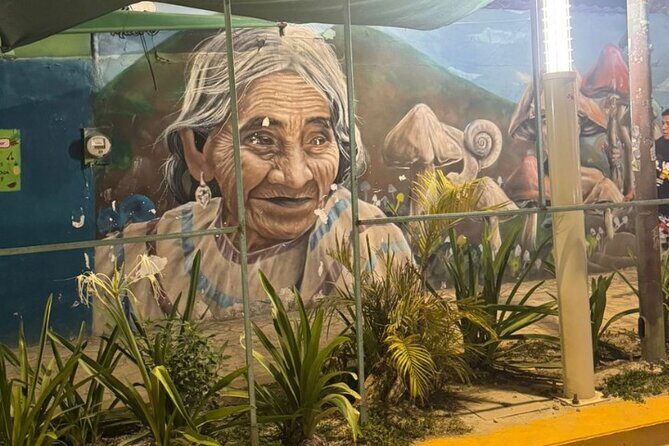 Street Art and Shopping Tour in Playa del Carmen - Authenticity & Value