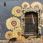 Street Art Bike Ride - Authentic Testimonials & Insights