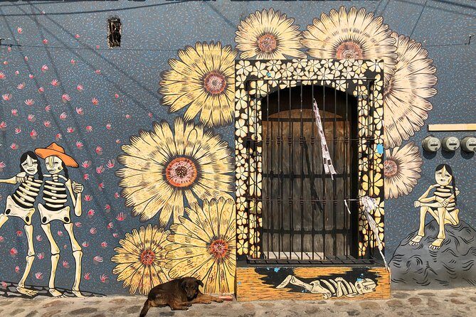 Street Art Bike Ride - Authentic Testimonials & Insights