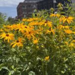 Street Art: Power Politics & Place - The Experience: What You Can Expect