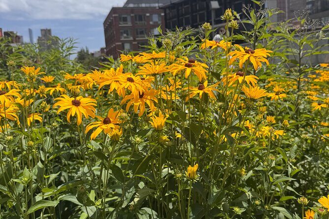 Street Art: Power Politics & Place - The Experience: What You Can Expect