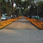 Street Food Tour with Friends - Who Will Love This Tour?