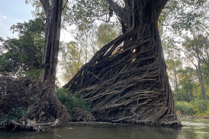 Stung Treng Canoeing In Mekong River - Day Two: The Peaceful Riverscape of Mekong