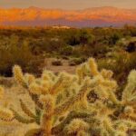 Stunning Sunset or Sunrise Guided Hiking Adventure in Phoenix - Frequently Asked Questions