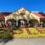 Stunning views of Oahu. East to North Shore on a scenic drive - Why this tour works for you