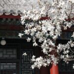 Summer Palace+Ming Tombs/Heaven Temple/China National Museum Tour - FAQ