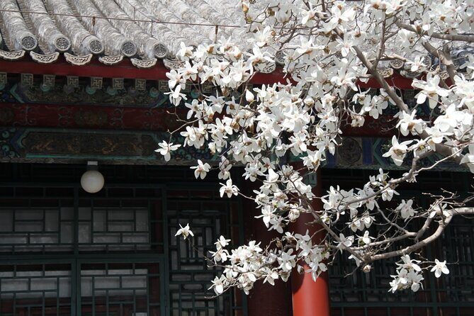 Summer Palace+Ming Tombs/Heaven Temple/China National Museum Tour - FAQ