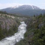 Summit Experience & Yukon Suspension Bridge Tour - Touring Skagway and the Surroundings