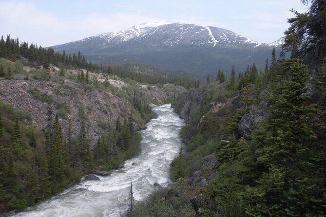 Summit Experience & Yukon Suspension Bridge Tour - Touring Skagway and the Surroundings